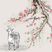 最强大的黄道带，最强大，2022只羊将富裕