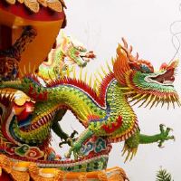 2022年2月，我不能出去？龙不会出去旅行？