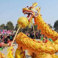 2022年2月，我可以生日过生日，是龙的生命吗？