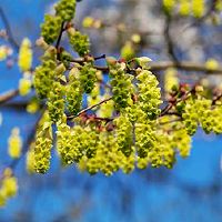 2022年，农历新年的日子是吉日车，我该怎么办？