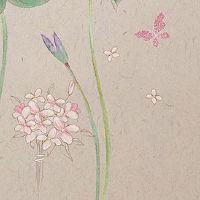 车牌纯数字是什么意思 盘点热门旺运车牌号码