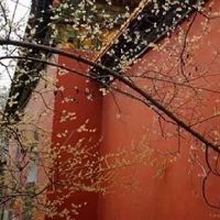 门口放桃花的风水 提升气场驱邪避害