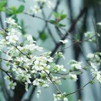 什么摆件招财聚财 金蟾吐钱助运势