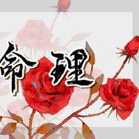 日本专栏出生在出生后富有丰富。