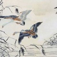 大年初九是谁的生日 此日生子福分无量