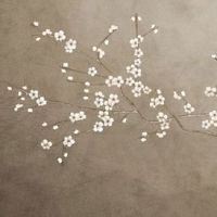 特别招财的女装店名三字 有品牌的店铺起名大全