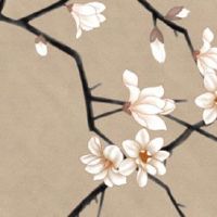 洗车行起名字大全 寓意吉利的店铺起名