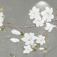 什么样的手机号旺财 增运旺运的手机靓号