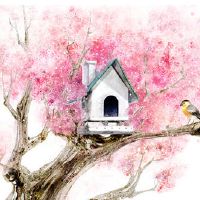 2022年农历三月初七搬家吉利吗 适不适合搬入新家