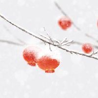 小年祭灶需要什么 供奉食材有讲究