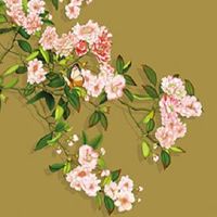 金命最差的是哪种金 不同金命具体种类解析