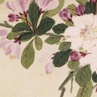 八字金多的是富贵命 此命理运势运程解析