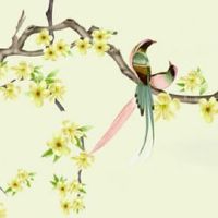 金箔金命人特点 金命太岁财星不旺