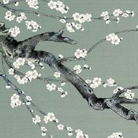 五鬼号码适合什么人用 有福运的车牌号码