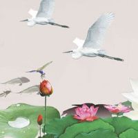 为什么属猴的29岁不好 本年桃花运颇旺