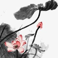 1992年属猴是金命吗 财星高照收入颇多