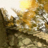 富葬的八个人类的女性生活，这颗明星坐着