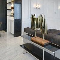 是阳台上的青铜蜻蜓养殖吗？