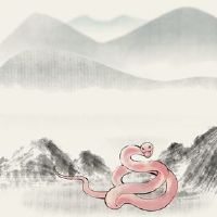 57岁的腹部2022年度算子分析的分支是什么？