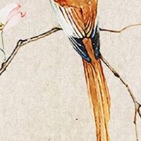 修理厂名字大全集 常用寓意好的店铺起名用字