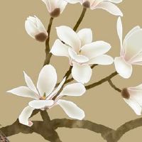 驾校叫什么名字好 寓意号段公司起名