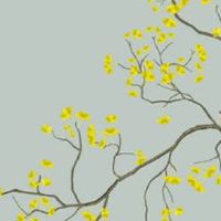 属猪的用什么手机尾号最旺财 属猪人手机尾号是93好不好