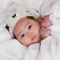 属于老虎的宝宝的名字是什么？老虎婴儿开始着名的收藏品