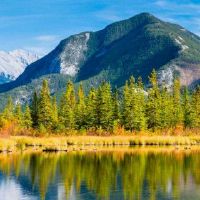 2022姓氏方法和推荐