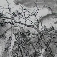 新能源车牌号码测吉凶 风水选择大吉牌号