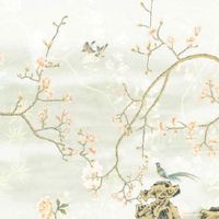 驾校取名字有特色 公司起名招财好名