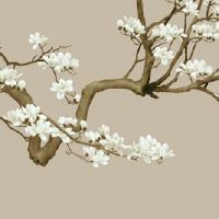 2022年3月31日是入宅日子吗 农历二月二十九乔迁搬家好不好