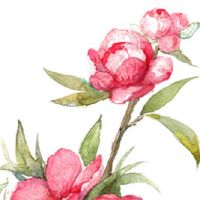 2022年3月29日入宅吉利吗 农历二月二十七这天是好日子吗