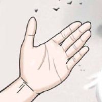 两条婚姻线是什么，两条婚姻线将结婚