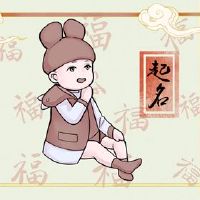 男孩与土壤，五个要素的五个要素的名称