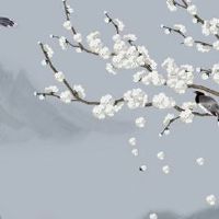 车牌号的数字加起来为10好不好 财运吉祥的车牌号码