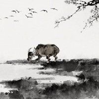 有才华，三大Zods，如鱼于2022年