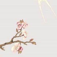 正月初十为什么放鞭炮 石头生日要祭石