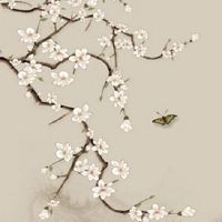 正月初十为什么吃饺子 形如元宝可招财