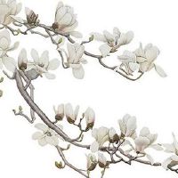 2022年双春适合结婚吗 虎年结婚大利月查询