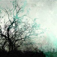 丙火日柱2022年 运势上升收获完美感情