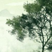 八个角色生活的含义是什么，意思和昂贵的