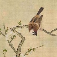 车牌4个数字带1个字母 四位吉祥车牌号码大全