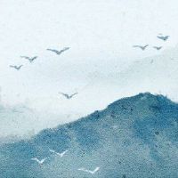 什么是定制炉子图表？