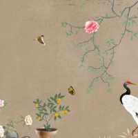 2022年2月五行属什么命里缺什么 属虎最适合的名字