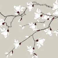 2022年3月31日出生的女宝宝名字合集 属虎取名方法介绍