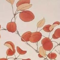 手机尾号7979吉利吗 幸运手机号码数字盘点