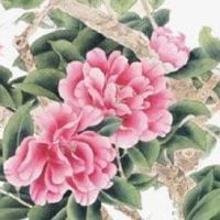 手机尾号6767吉利吗 最值钱的手机号码数字