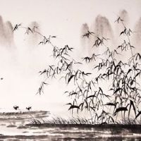 今日穿衣指南:2022年3月5日惊蛰五行穿衣幸运色