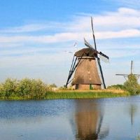 1983年女子女子的命运