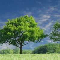 2022名称名称和推荐的名称